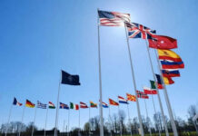NATO Snubs Trump: US Alone in Iran Conflict Flags of multiple countries against blue sky