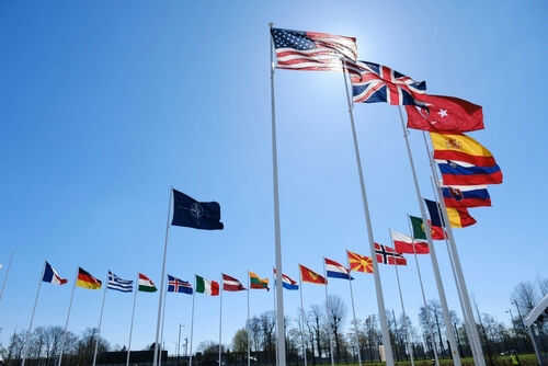 Flags of multiple countries against blue sky