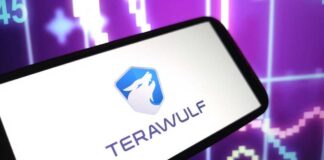 Mobile device displaying the Terawulf logo against a colorful data graph background