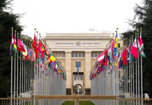 UN Security Council “Missing” Amid Global Chaos United Nations building with international flags displayed outside