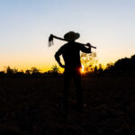 Farm Bankruptcies SPIKE—Washington Blame Game Silhouette of a farmer holding a hoe against a sunset