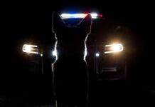 K9 Units: The Hidden Hero in Rescues Silhouette of a police dog in front of a vehicle with emergency lights