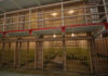 Prison cell block with barred doors and two tiers