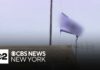 NYU graduation week marred by swastika flag raised on campus