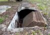 Vandalism at Historic Cemetery Sparks Political Fury Black cemetery vandalized with 'Trump' painted on graves