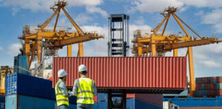 Two workers in safety gear at shipping port