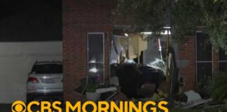 Family of woman killed after Tesla slams into Texas home recalls crash