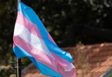 Regulators Slam ‘Junk Science’ In Youth Trans Care Transgender pride flag waving in the breeze