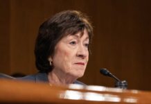Scandal-Plagued Maine Democrat Takes Aim At Collins United States Senate emblem on wooden podium