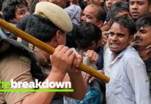 What's behind India's Gen Z 'cockroach' uprising