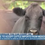 U.S. to once again accept cattle imports from Mexico