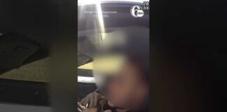 'I Wasn't Driving': Speeding Motorist Blames Tesla Autopilot for Ticket