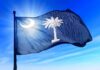 South Carolina Jumps Line—Chaos Next? South Carolina state flag waving against a blue sky
