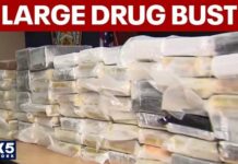 $10 Million Coke Bust Freezes Pipeline Hundreds of pounds of cocaine seized in drug bust