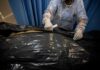 Healthcare worker sealing a body bag