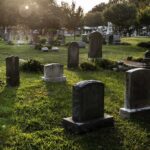 Gravestones in a sunlit cemetery