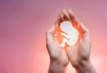 hands cupping a fetal silhouette on pink background