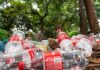 EU Calls Out Recycled Bottle Bluff Plastic bottles littered on forest floor