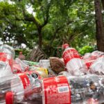 Plastic bottles littered on forest floor