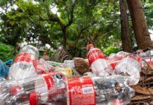 Plastic bottles littered on forest floor